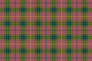 checks patterns