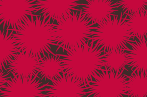 flowers patterns