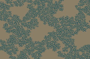 flowers patterns