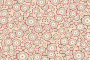 flowers patterns