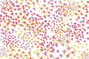flowers patterns
