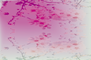flowers patterns