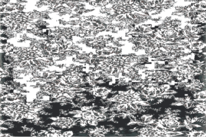 greenery patterns