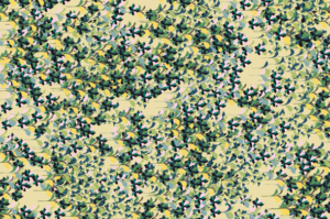 liberty patterns