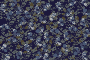 paisleys patterns