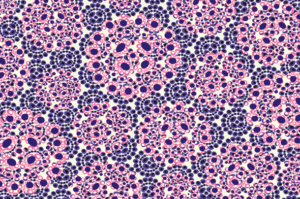 pop patterns